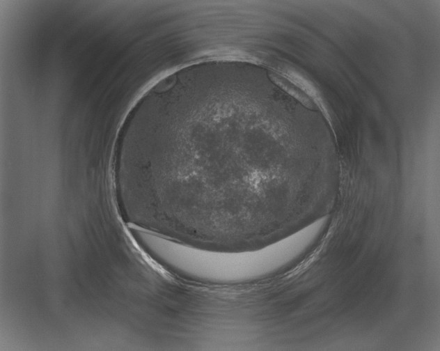 X0000082931141200702152141