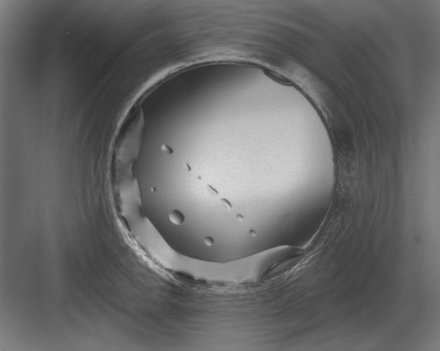 X0000082931142200702152141