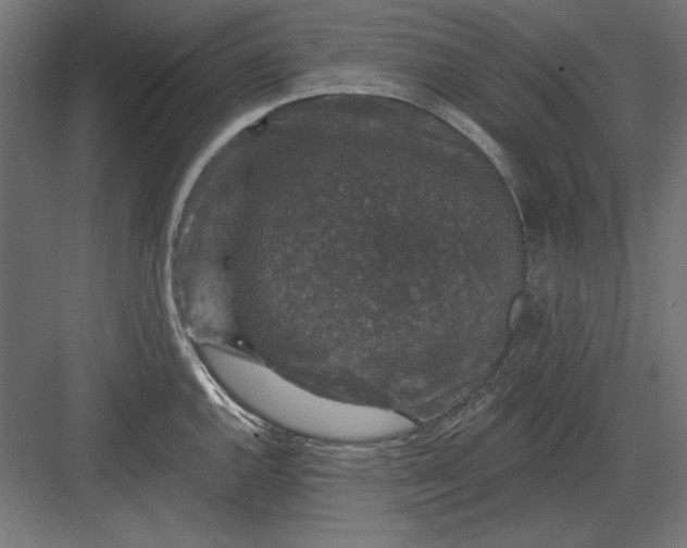 X0000082931144200702152141