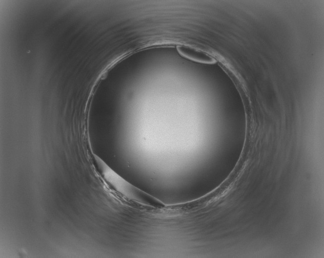 X0000082931145200702152141