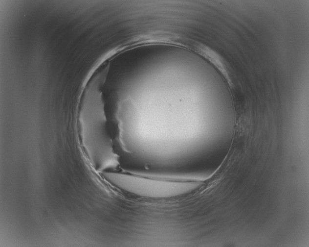 X0000082931146200702152141