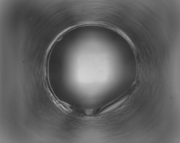 X0000082931148200702152141