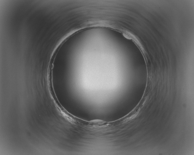 X0000082931149200702152141