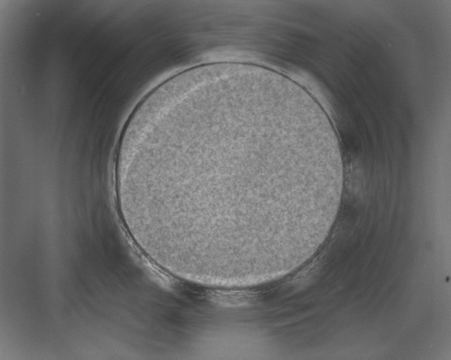 X0000082931150200702152141