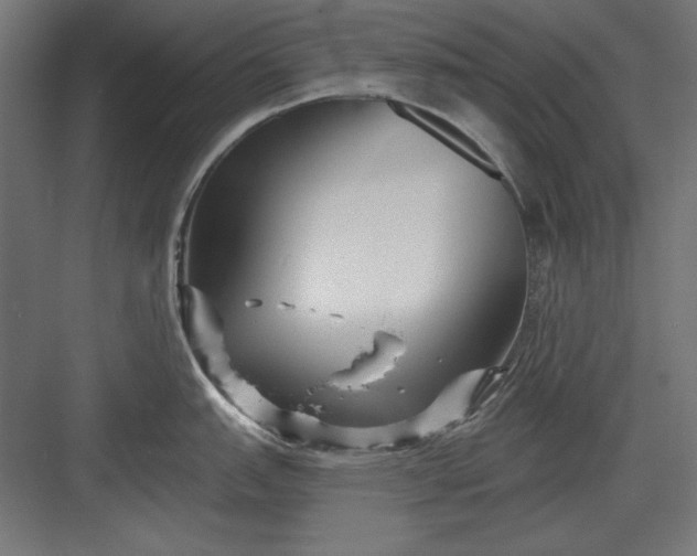 X0000082931151200702152141