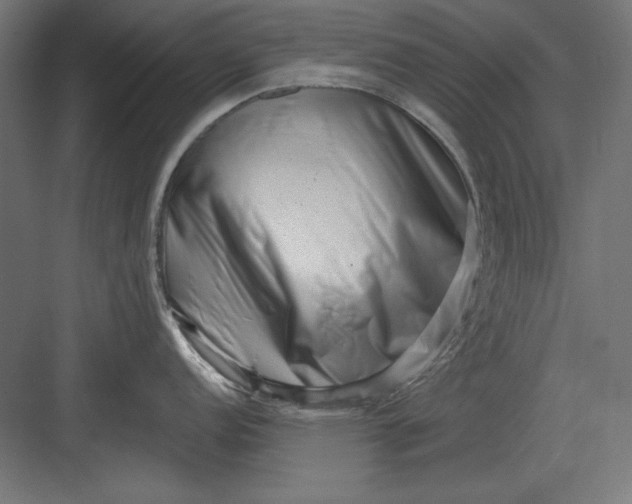 X0000082931152200702152141