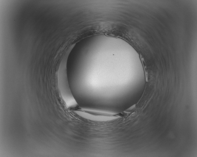 X0000082931153200702152140