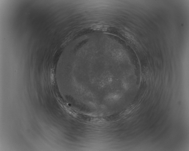 X0000082931154200702152140