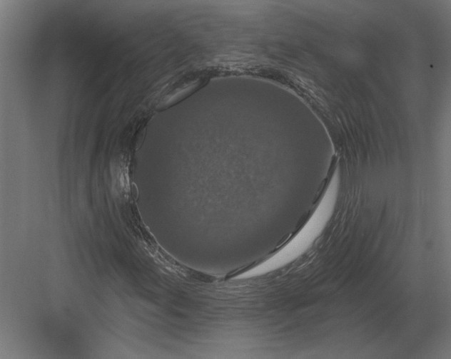 X0000082931155200702152140