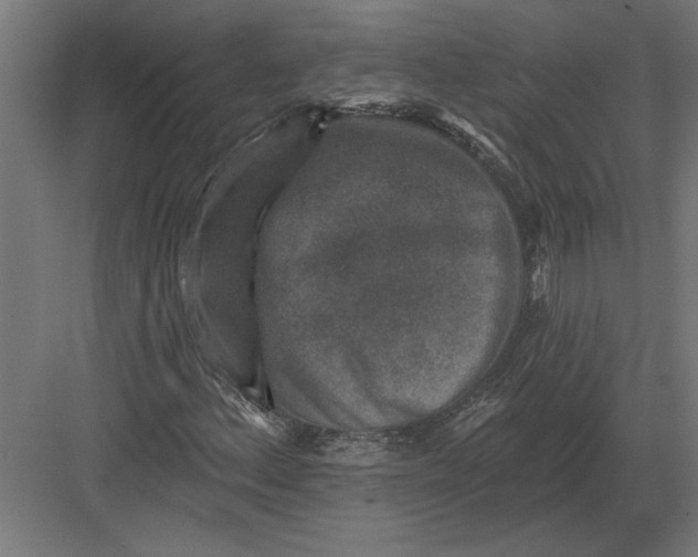 X0000082931156200702152140