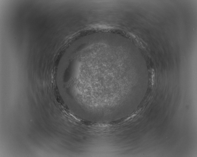 X0000082931157200702152140