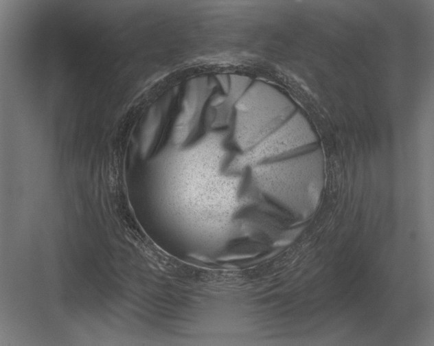 X0000082931158200702152140