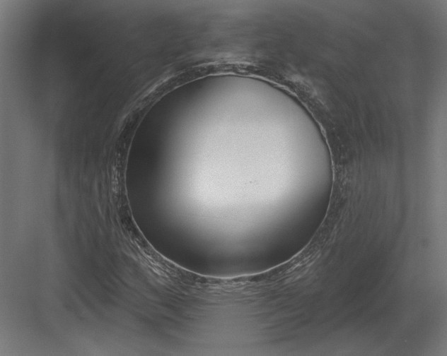 X0000082931159200702152140