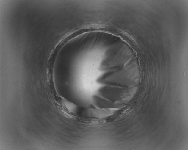 X0000082931160200702152140