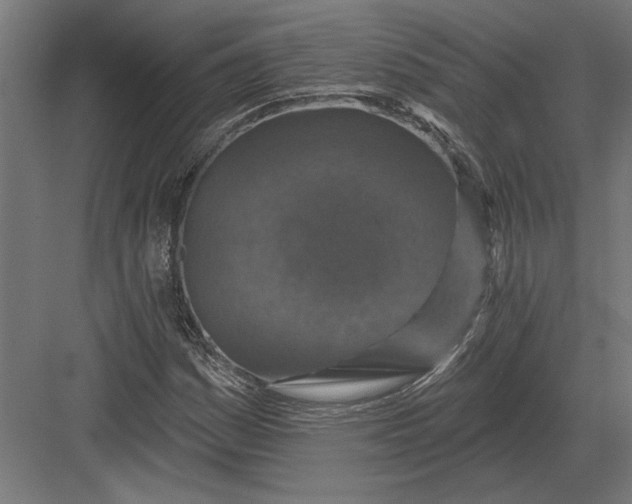 X0000082931161200702152140