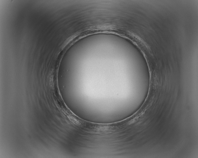 X0000082931162200702152140