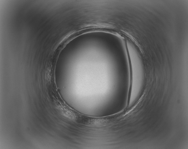 X0000082931163200702152140