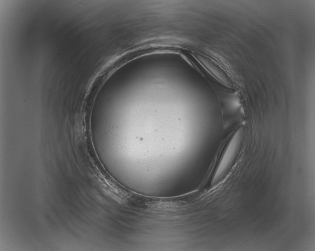 X0000082931164200702152140