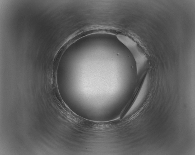 X0000082931165200702152140