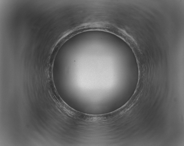 X0000082931166200702152140