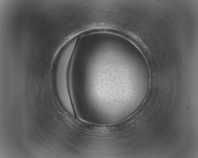 X0000082931167200702152140