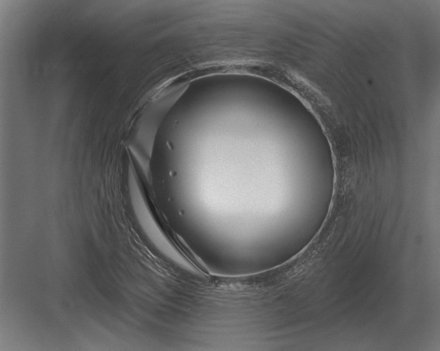 X0000082931169200702152140