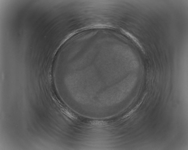 X0000082931170200702152140