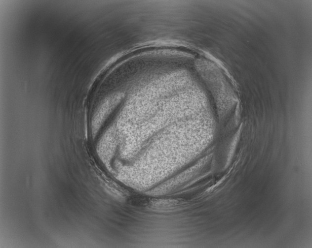 X0000082931171200702152140