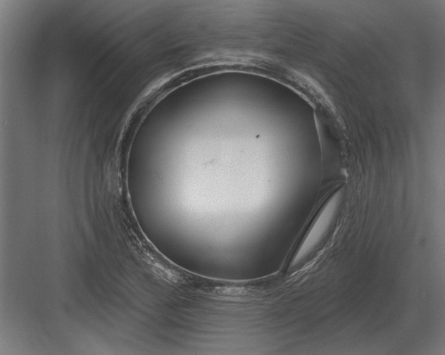 X0000082931172200702152140