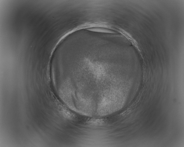 X0000082931174200702152140