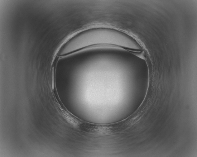 X0000082931175200702152140