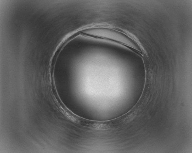 X0000082931176200702152140