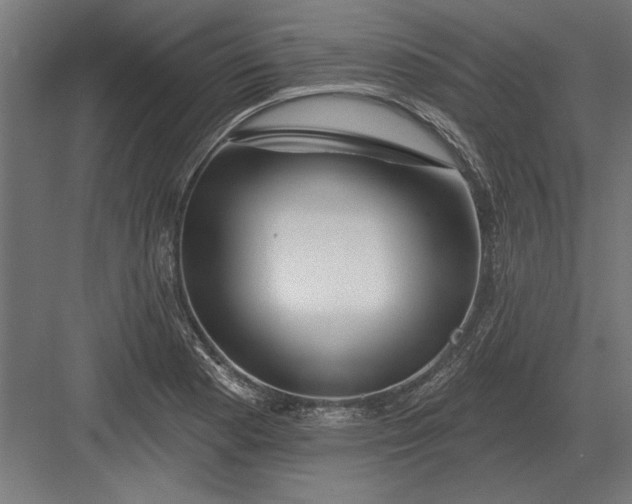 X0000082931177200702152140