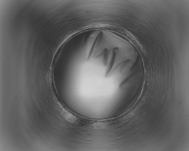 X0000082931178200702152140