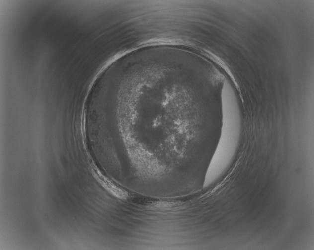 X0000082931179200702152139