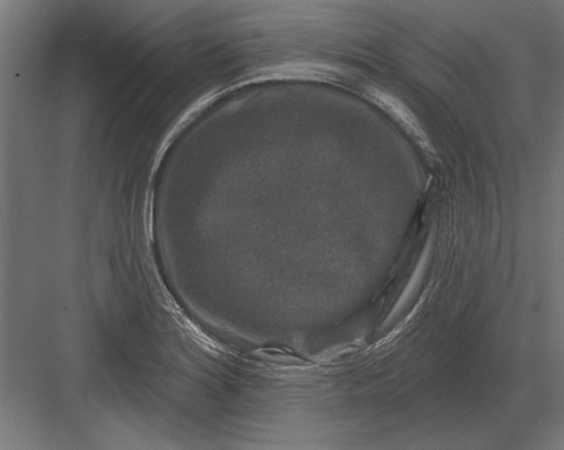 X0000082931180200702152139