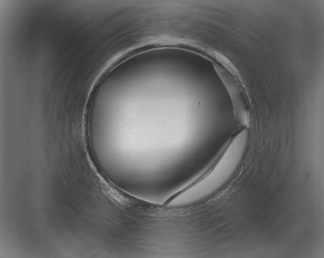 X0000082931183200702152139