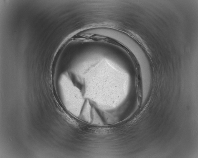 X0000082931184200702152139