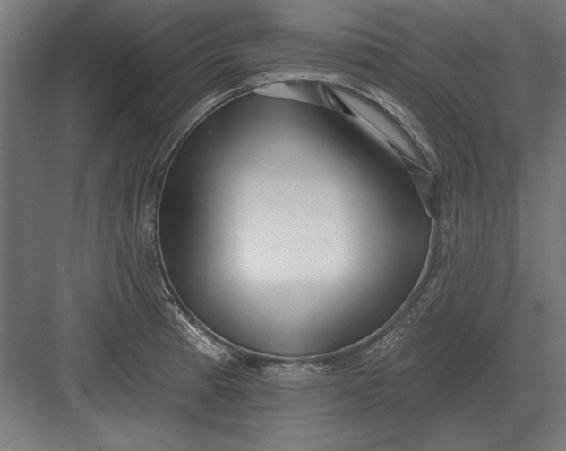 X0000082931185200702152139