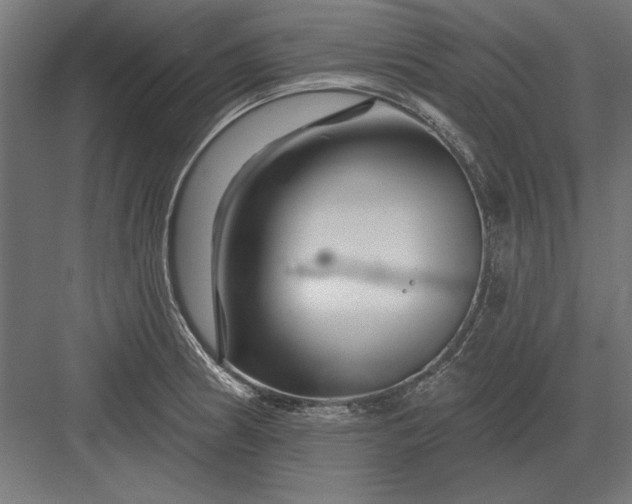 X0000082931186200702152139