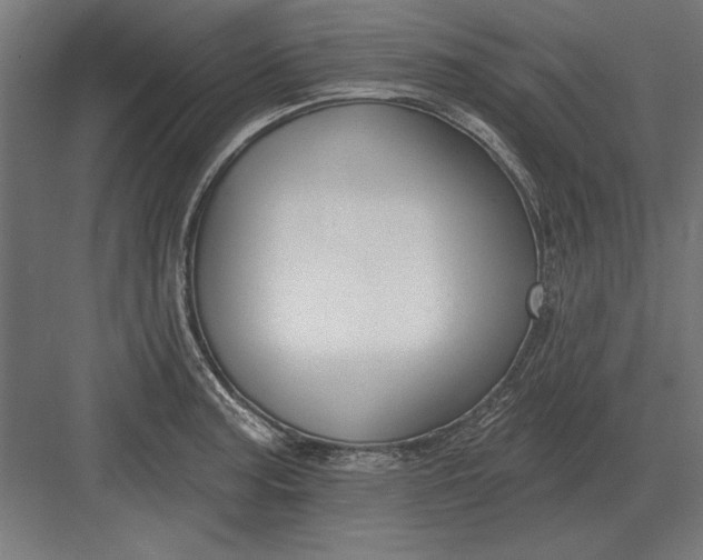 X0000082931187200702152139