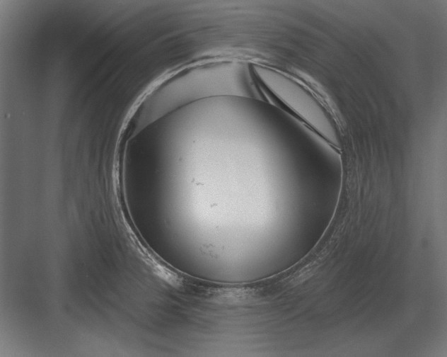 X0000082931188200702152139