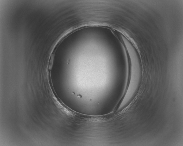 X0000082931189200702152139