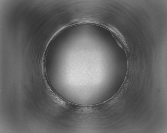 X0000082931190200702152139