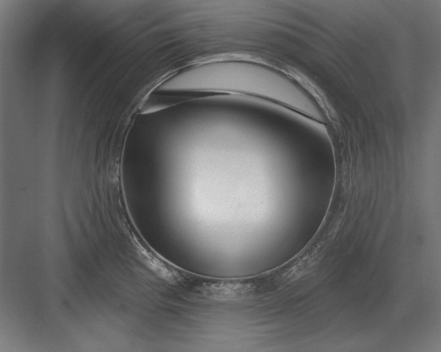 X0000082931193200702152139