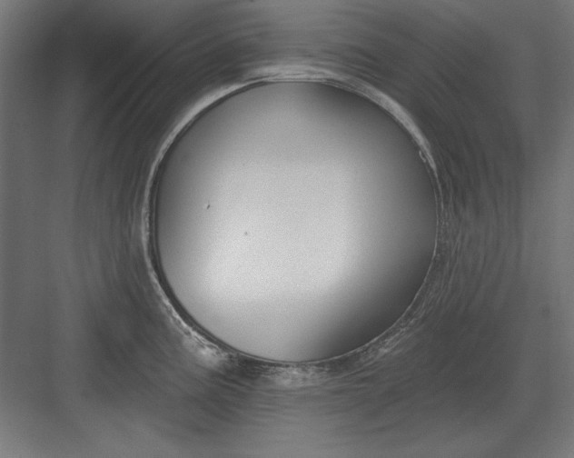 X0000082931195200702152139