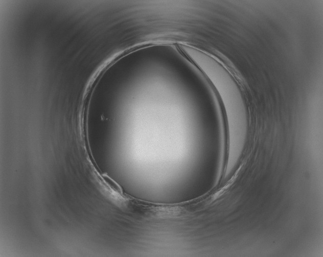 X0000082931196200702152139