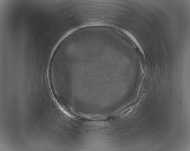 X0000082931197200702152139