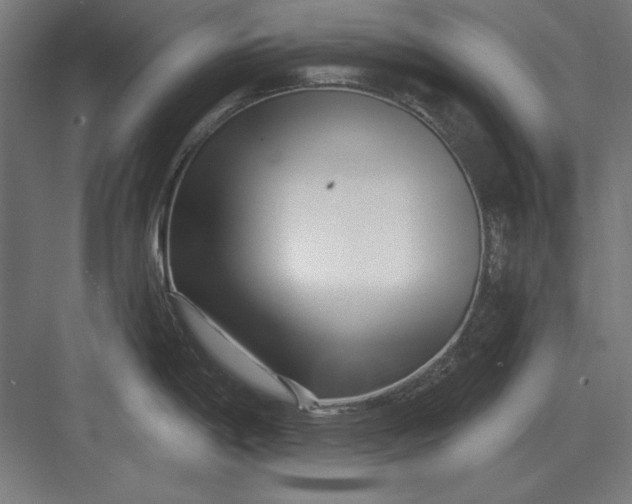 X0000082931198200702152139