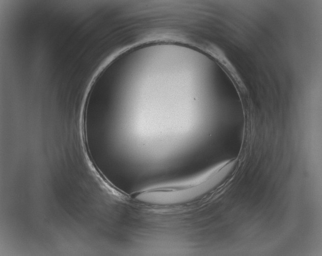 X0000082931199200702152139